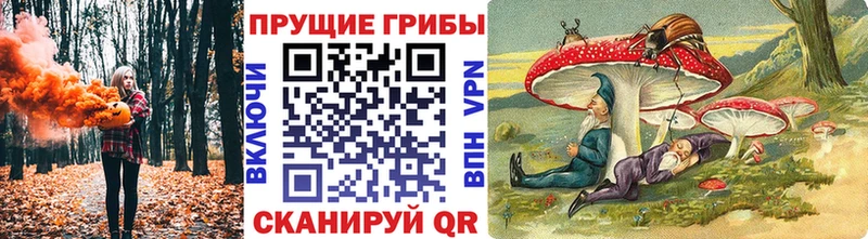 Купить закладки  Приморск  Галлюциногенные грибы GOLDEN TEACHER 